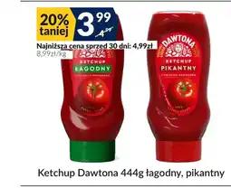 Sużyw Ketchup Dawtona oferta