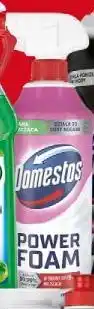 Stokrotka Domestos Power Foam oferta