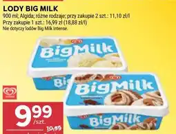 Stokrotka LODY BIG MILK oferta