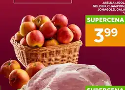 Stokrotka JABŁKA LIGOL, GOLDEN, CHAMPION, JONAGOLD, GALA oferta