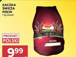 Stokrotka KACZKA ŚWIEŻA PEKIN oferta