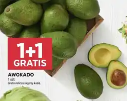 Stokrotka AWOKADO oferta