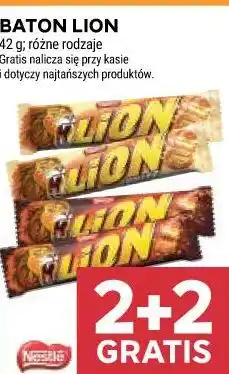Stokrotka BATON LION oferta