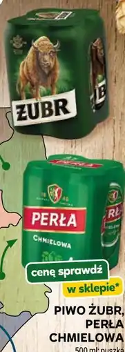 Stokrotka PIWO ŻUBR, PERŁA CHMIELOWA oferta