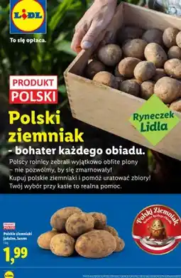 Lidl Ziemniaki jadalne polskie oferta