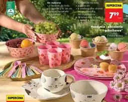 Biedronka Naczynia i akcesoria piknikowe SMUKEE oferta