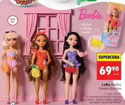 Biedronka Lalka Barbie Dream Besties oferta