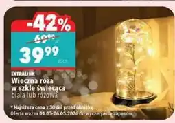 Biedronka EXTRALINK Wieczna róża w szkle świecąca biała lub różowa oferta