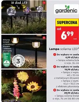 Biedronka Lampa solarna LED oferta