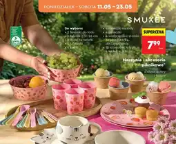 Biedronka Naczynia i akcesoria piknikowe 2 foremki do lodu oferta