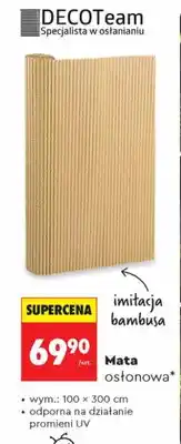Biedronka Mata osłonowa DECOTeam imitacja bambusa wym. 100x300cm oferta