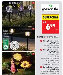Biedronka Lampa solarna kula Gardenic o wys. 34cm oferta