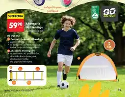 Biedronka Zestaw 2 bramek piłkarskich GO ACTIVE oferta