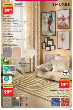 Biedronka Obraz na płótnie SMUKEE wym. 50x70cm oferta