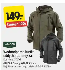 Jula Kurtka męska Kayoba oferta