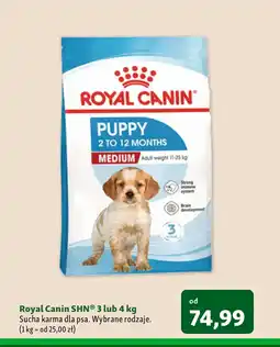 Maxi Zoo Karma dla psa Royal Canin oferta