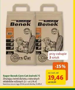 Maxi Zoo Żwirek Benek oferta