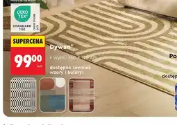 Biedronka Dywan SMUKEE wym. 160x120cm oferta