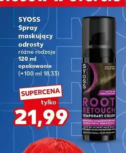 Kaufland Spray maskujący odrosty SYOSS oferta