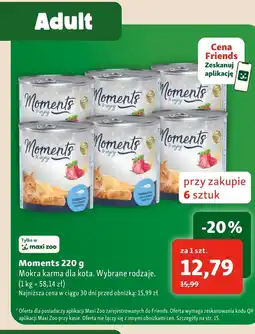 Maxi Zoo Mokra karma dla kota Moments oferta