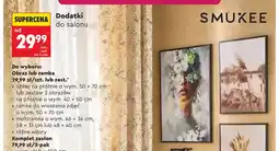 Biedronka Zestaw 2 obrazów na płótnie SMUKEE wym. 40x50cm oferta