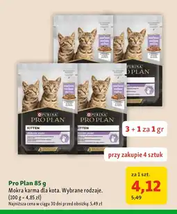 Maxi Zoo Mokra karma dla kota Pro Plan oferta