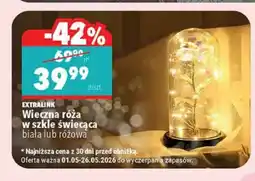 Biedronka Wieczna róża w szkle świecąca EXTRALINK różowa oferta