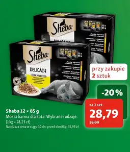 Maxi Zoo Mokra karma dla kota Sheba oferta