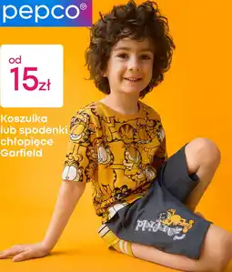 Pepco Koszulka lub spodenki chłopięce Garfield oferta
