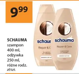 Drogerie Laboo Szampon Schauma oferta
