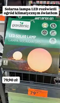 Biedronka Lampa solarna LED kula Gardenic oferta