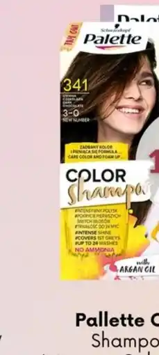 Astor Palette Color Shampoo/Intensive Color Cream oferta