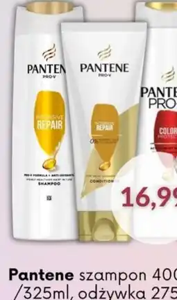 Astor Pantene szampon lub odżywka oferta