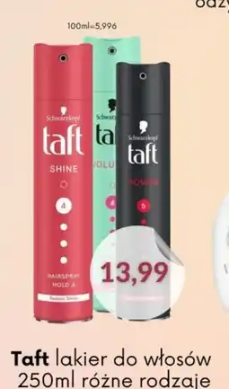 Astor Taft lakier do włosów oferta