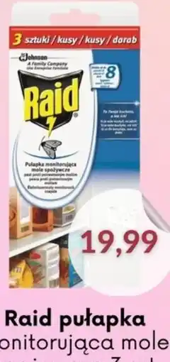 Astor Raid pułapka monitorująca mole spożywcze oferta