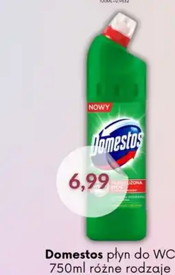 Astor Domestos płyn do wc oferta