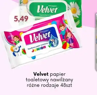 Astor Velvet papier toaletowy nawilżany oferta