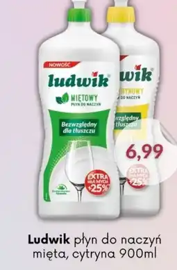 Astor Ludwik płyn do naczyń oferta