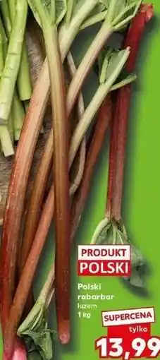 Kaufland Polski rabarbar luzem oferta