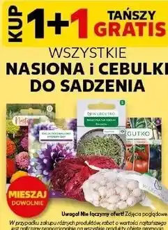 Kaufland WSZYSTKIE NASIONA I CEBULKI DO SADZENIA oferta