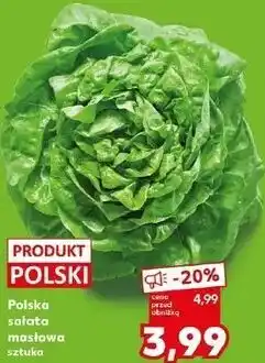 Kaufland Polska sałata masłowa oferta