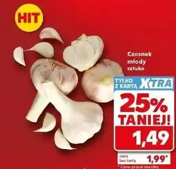 Kaufland Czosnek młody oferta