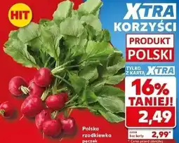 Kaufland Polska rzodkiewka pęczek oferta