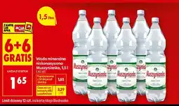 Biedronka Woda mineralna Muszynianka oferta