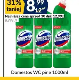 Sużyw Domestos wc pine oferta