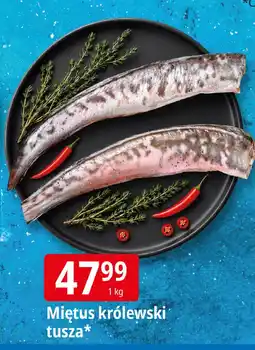 E.Leclerc Miętus królewski tusza oferta
