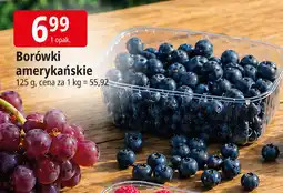 E.Leclerc Borówka amerykańska oferta