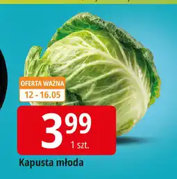 E.Leclerc Kapusta młoda oferta
