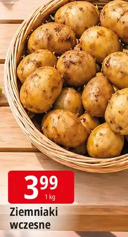 E.Leclerc Ziemniaki oferta