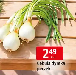 E.Leclerc Cebula dymka oferta